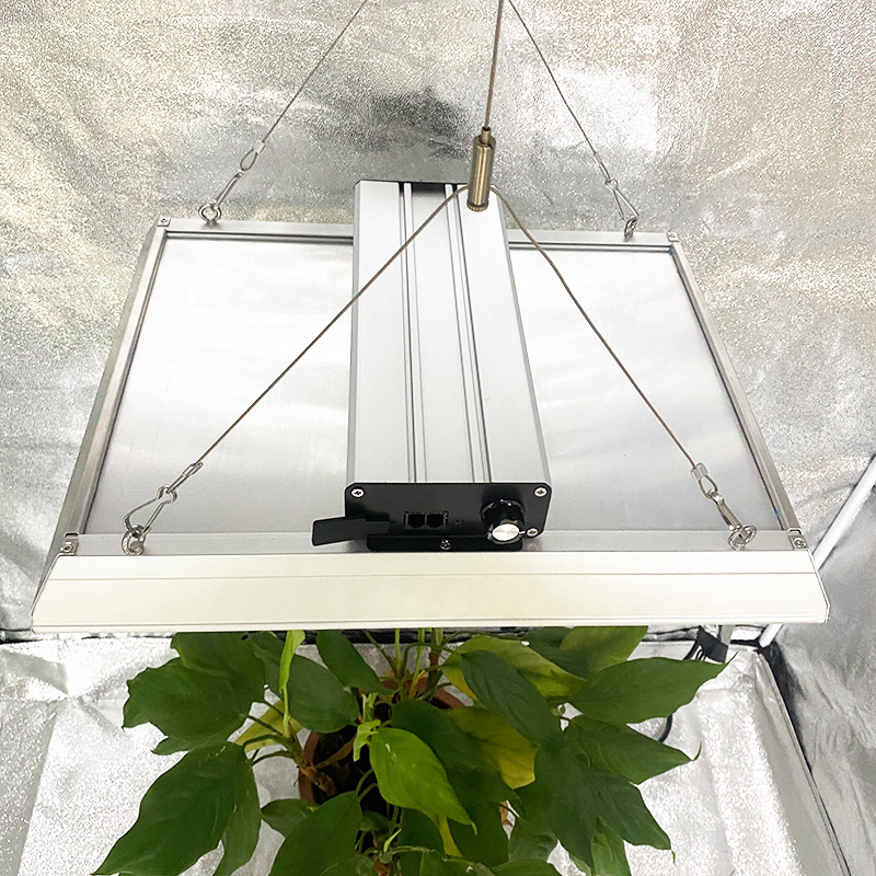 Planta cuántica LED Cultive la luz para los tomates