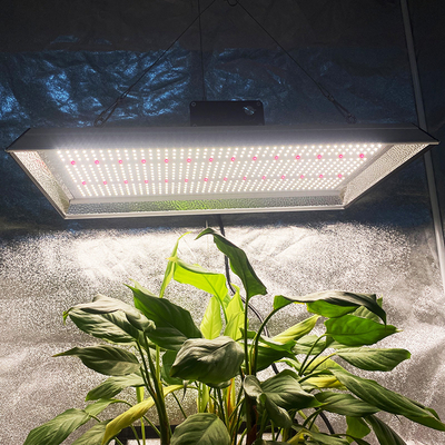 Luz de cultivo led hidropónica agrícola para tomates