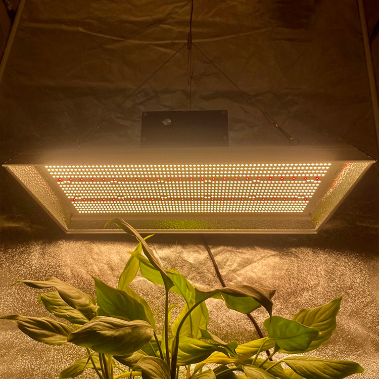 LED de jardín agrícola cultiva luz para plantas tropicales