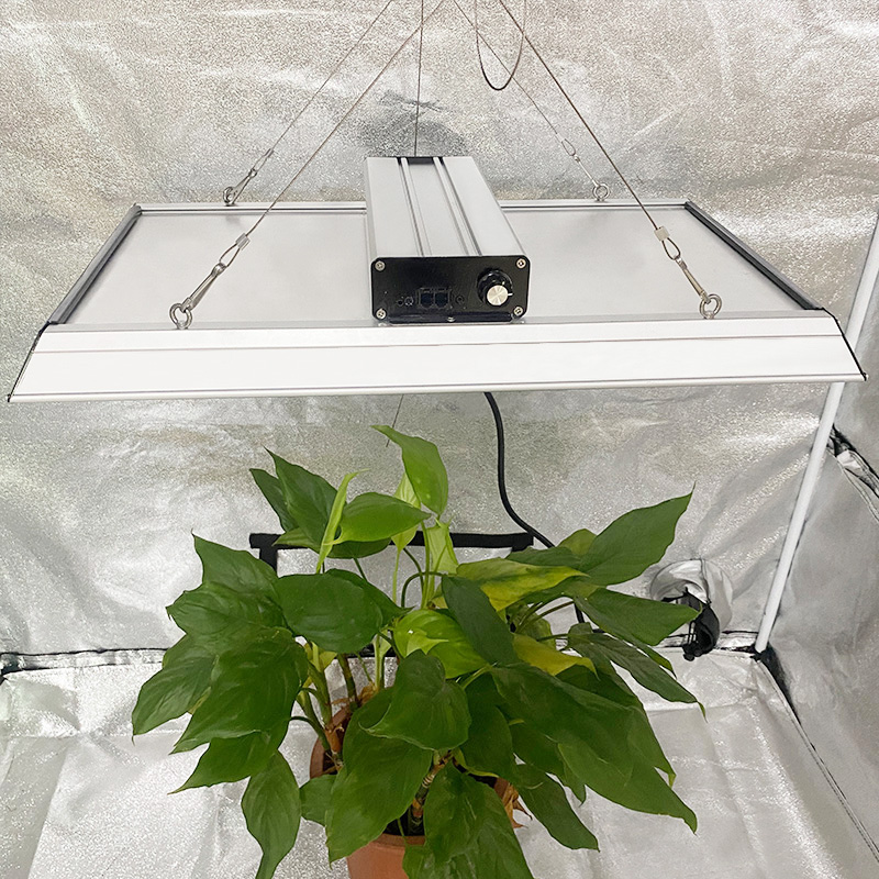 Full Spectrum 200w Led Grow Light para plantas en macetas