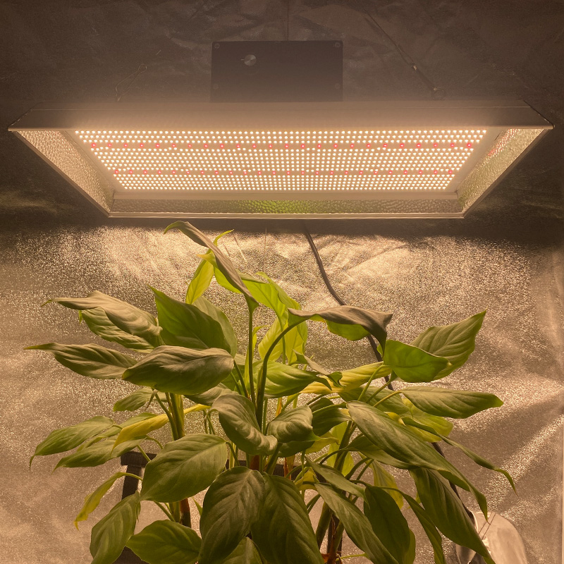 El jardín de 400 vatios LED crece la luz para los chiles