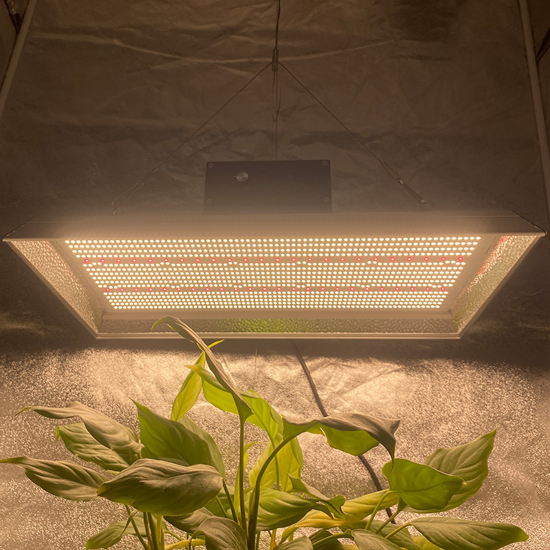 El jardín de 400 vatios LED crece la luz para los chiles