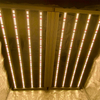 Hidropónica 1000W Araña LED Crece la luz