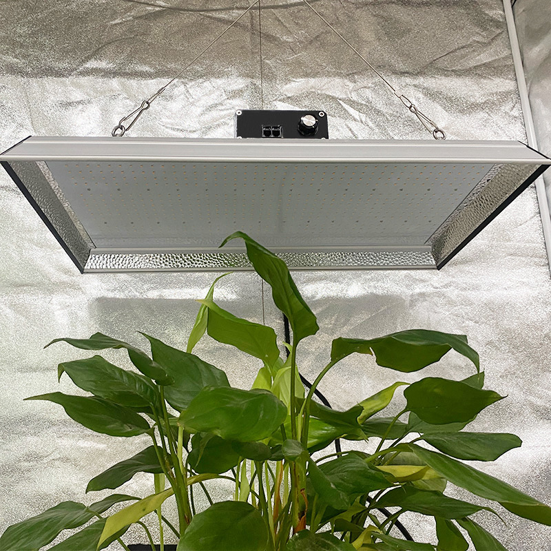 Luz de cultivo LED hidropónica de 200w para plantas tropicales
