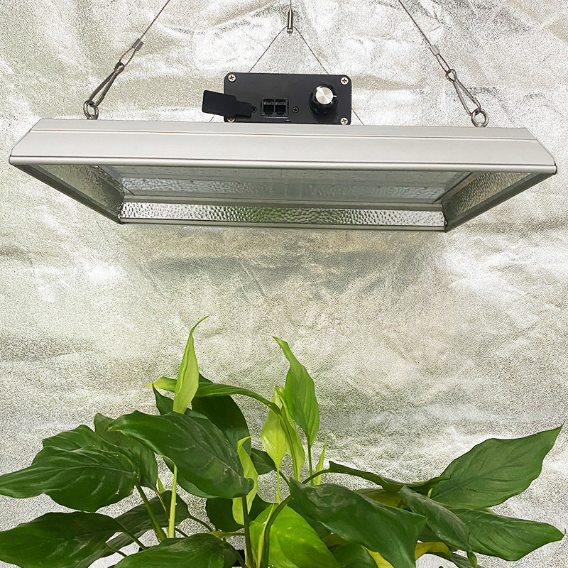 Hortícola 100W LED crece la luz para las plantas de la olla