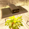 Horticultura 400 vatios LED Crece la luz para los chiles