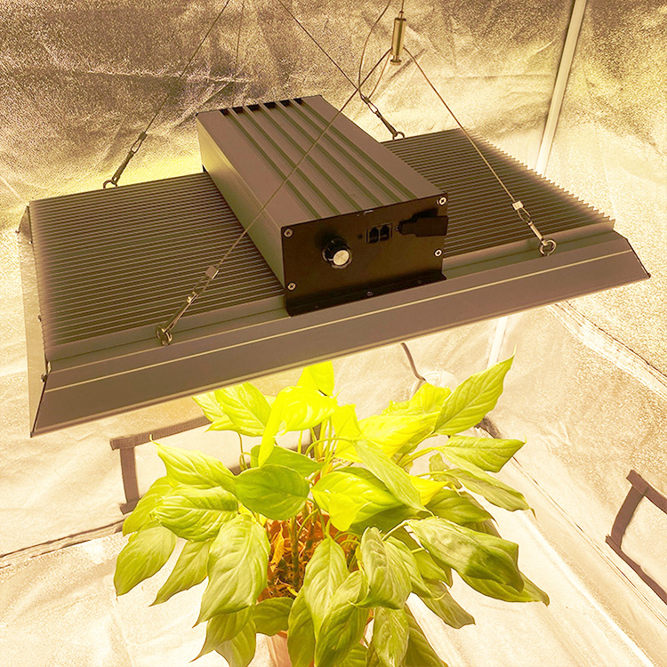 Smart Garden LED crece la luz para las plantas tropicales