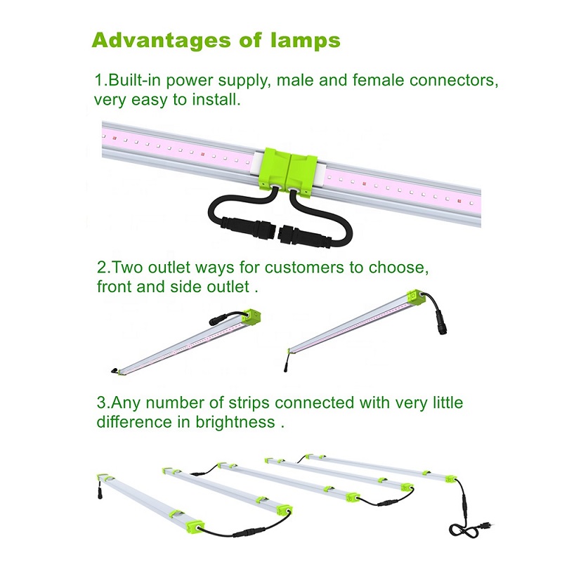 Luz de cultivo LED lineal impermeable de 100w para orquídeas