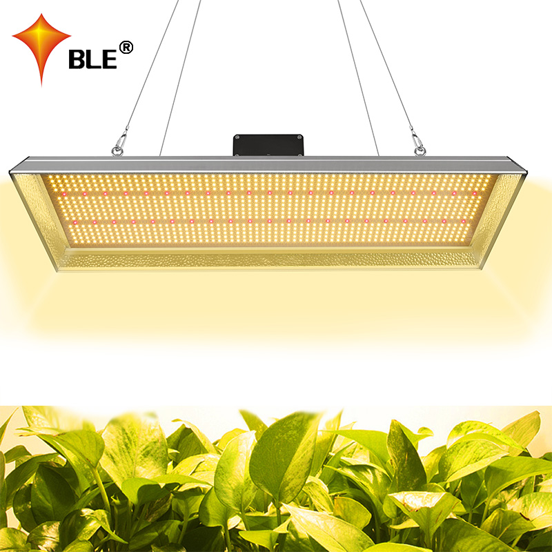 Luz LED de cultivo interior de 300w para verduras