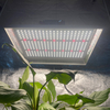 LED de baja energía hidropónica cultiva la luz para los tomates