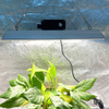 LED profesional de alto rendimiento Cultive la luz para los tomates